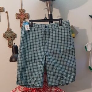 Mens Casual Shorts Mint Green With Blue Striping